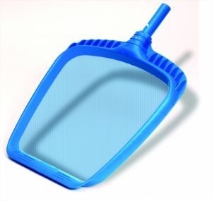 Síťka hladinová velká